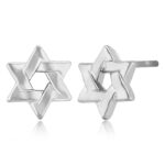 14KWG SMALL STAR OF DAVID W/POST picture