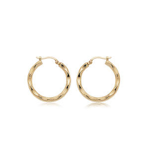 Small Fancy Hoops picture